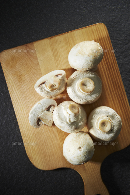 マッシュルーム の写真素材 イラスト素材 アマナイメージズ