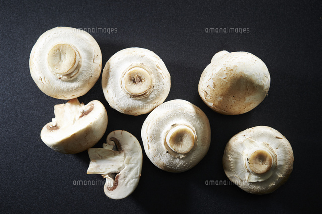 マッシュルーム の写真素材 イラスト素材 アマナイメージズ