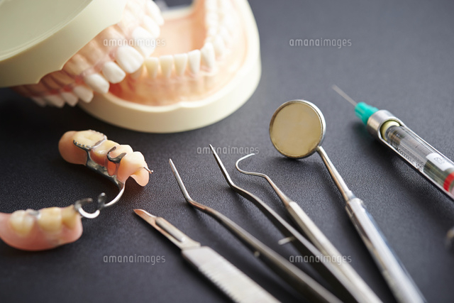 歯の模型と歯科器具 の写真素材 イラスト素材 アマナイメージズ