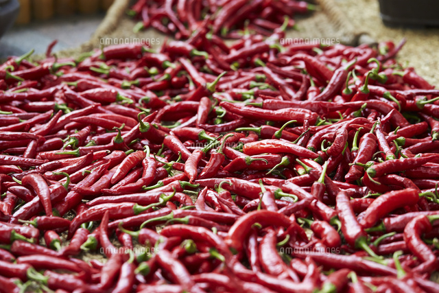 唐辛子 の写真素材 イラスト素材 アマナイメージズ