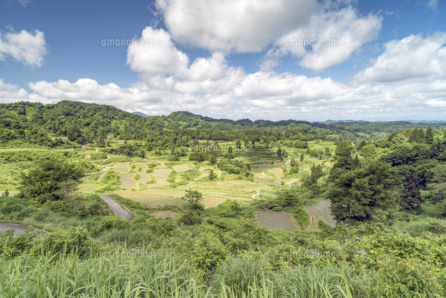 新潟県十日町市 星峠棚田の朝日 の写真素材 イラスト素材 アマナイメージズ