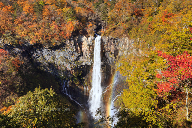 紅葉の華厳の滝 の写真素材 イラスト素材 アマナイメージズ