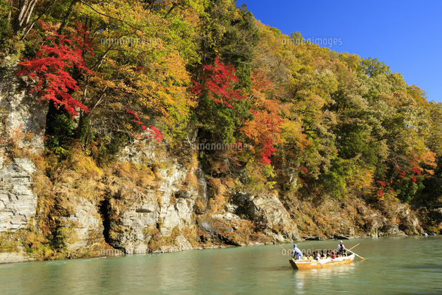 紅葉の長瀞ライン下り[10866000457]の写真・イラスト素材｜アマナ 