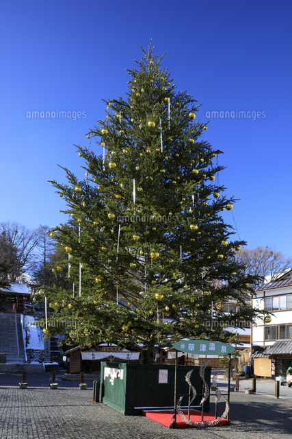 草津温泉湯畑のクリスマスツリー の写真素材 イラスト素材 アマナイメージズ
