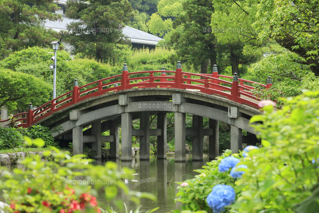 太宰府天満宮の太鼓橋[10866000971]の写真・イラスト素材｜アマナ