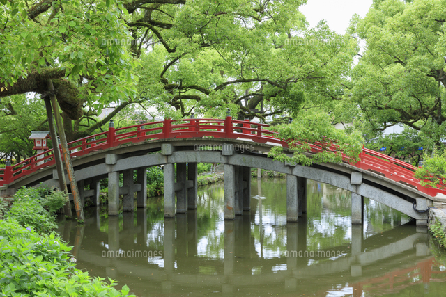 太宰府天満宮の太鼓橋 の写真素材 イラスト素材 アマナイメージズ
