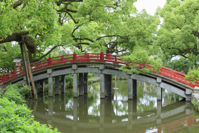 太宰府天満宮の太鼓橋[10866000975]の写真・イラスト素材｜アマナ