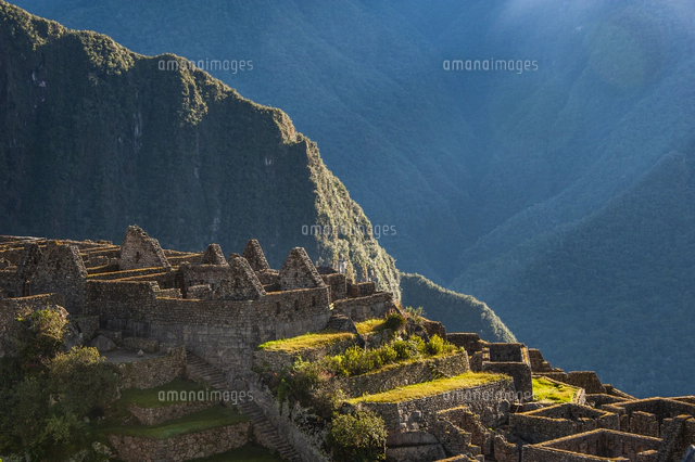 リャマとマチュピチュ遺跡 の写真素材 イラスト素材 アマナイメージズ