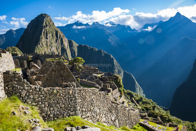 リャマとマチュピチュ遺跡 の写真素材 イラスト素材 アマナイメージズ