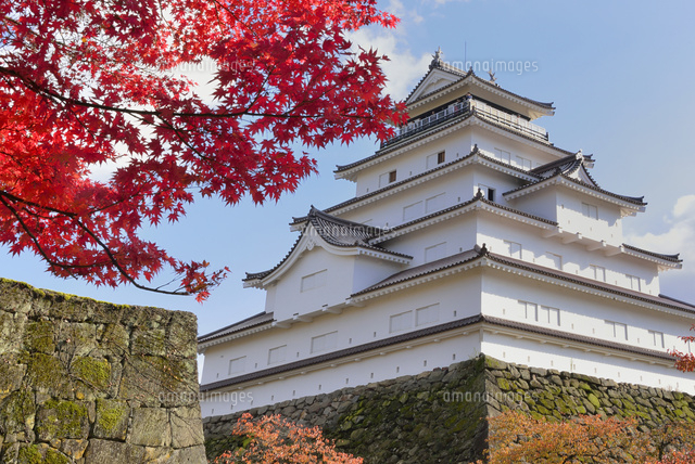 紅葉の会津若松鶴ヶ城 の写真素材 イラスト素材 アマナイメージズ