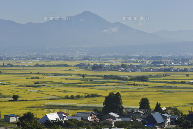 秋の会津 磐梯山と田園風景[10878000492]の写真・イラスト素材｜アマナ