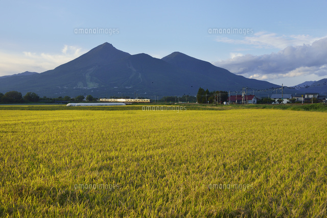 山並みと田園風景［油彩］W38cm x Ｈ30cm 山並みと田園風景［油彩］W38cm x H30cm