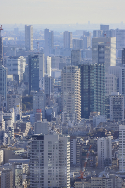 渋谷から見た港区の高層ビル群 の写真素材 イラスト素材 アマナイメージズ