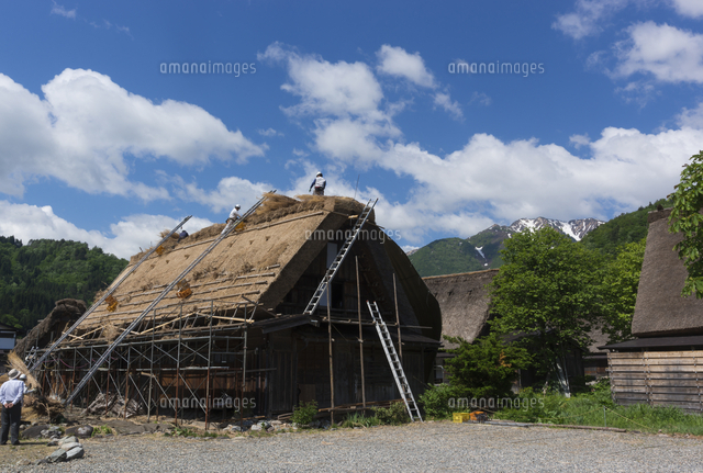 白川郷の茅葺屋根の葺き替え の写真素材 イラスト素材 アマナイメージズ