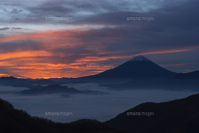 丸山林道からの富士山の夜明け の写真素材 イラスト素材 アマナイメージズ