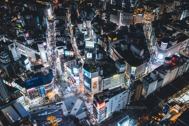 俯瞰で見る夜の渋谷の街並み[10889002131]の写真・イラスト素材