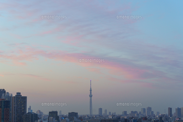 スカイツリーと焼けた雲 の写真素材 イラスト素材 アマナイメージズ スカイツリーと焼けた雲 の写真素材 イラスト素材 アマナイメージズ