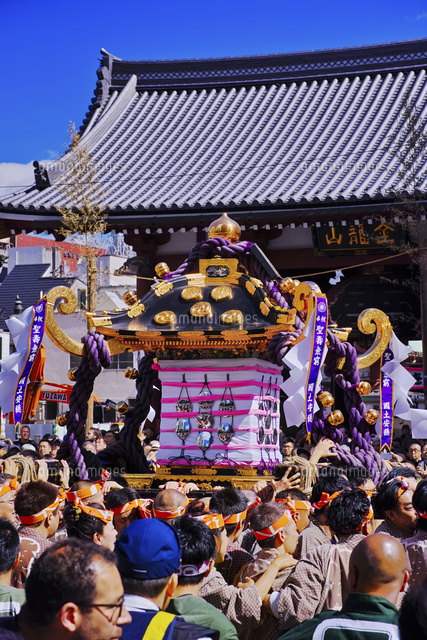 雷門前をいく三社祭の神輿 の写真素材 イラスト素材 アマナイメージズ