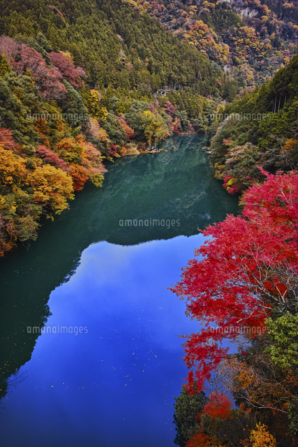 数馬峡橋より望む秋の白丸ダム の写真素材 イラスト素材 アマナイメージズ 数馬峡橋より望む秋の白丸ダム の写真素材 イラスト素材 アマナイメージズ