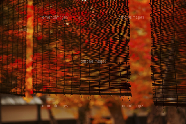 秋の庭にかかる簾 の写真素材 イラスト素材 アマナイメージズ