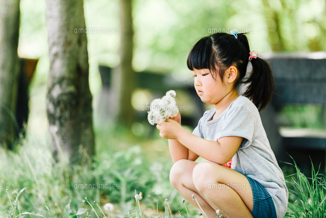 お花を摘む少女 の写真素材 イラスト素材 アマナイメージズ お花を摘む少女 の写真素材 イラスト素材 アマナイメージズ