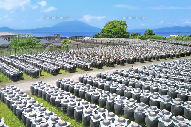 桜島と黒酢の壺畑 の写真素材 イラスト素材 アマナイメージズ