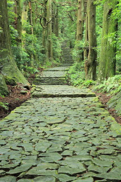 熊野古道 大門坂 の写真素材 イラスト素材 アマナイメージズ