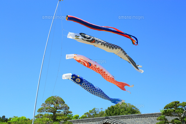青空と鯉のぼり[10922002075]の写真・イラスト素材｜アマナイメージズ