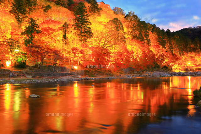 紅葉の香嵐渓ライトアップ[10922003834]の写真・イラスト素材｜アマナ 