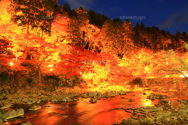 紅葉の香嵐渓ライトアップ[10922003837]の写真・イラスト素材｜アマナ