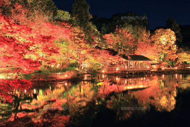 東山動物園の写真素材 ストックフォト アマナイメージズ