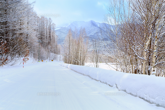 富良野 白樺林と雪道 の写真素材 イラスト素材 アマナイメージズ