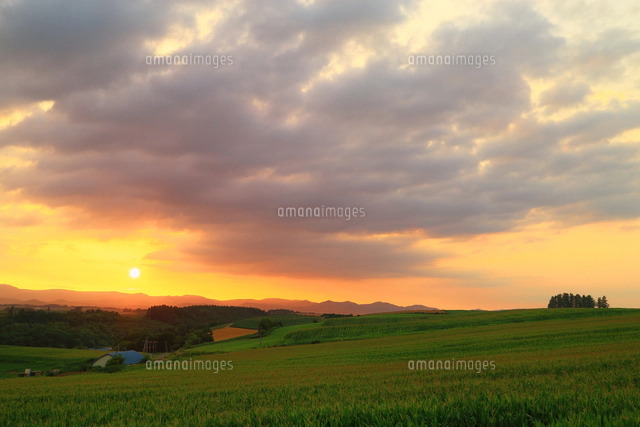 風景画 公園の夕焼け 画家志望作 風景画 公園の夕焼け 画家志望作 -