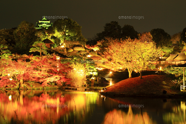 秋の幻想庭園 岡山後楽園[10922008503]の写真・イラスト素材｜アマナ
