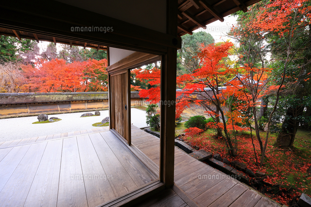 龍安寺 石庭と紅葉 京都府 の写真素材 イラスト素材 アマナイメージズ