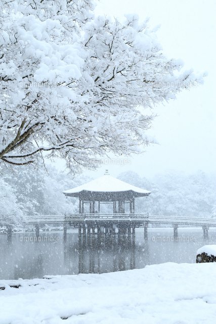 雪の奈良公園 浮見堂と鷺池 奈良県 の写真素材 イラスト素材 アマナイメージズ