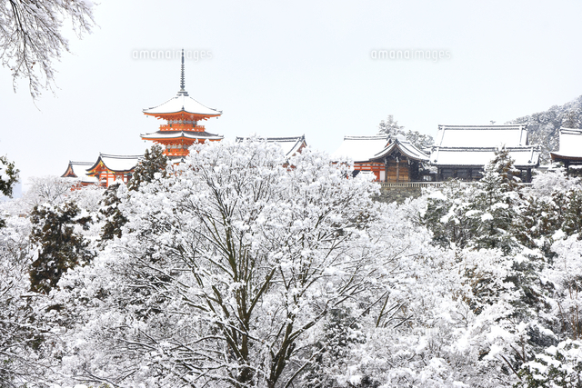 清水寺雪景色 京都府[10922011669]の写真・イラスト素材｜アマナイメージズ