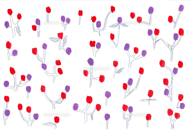 赤と紫の実のついた木のパターン の写真素材 イラスト素材 アマナイメージズ