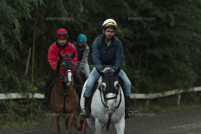 男性 乗馬 の写真素材 イラスト素材 アマナイメージズ