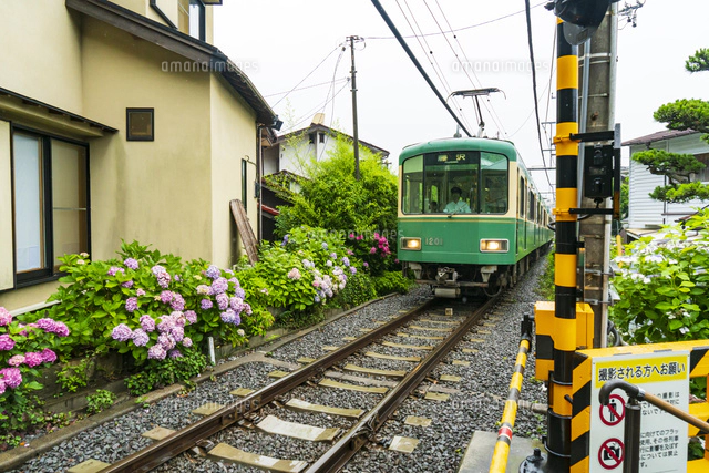 神奈川県 6月 祭りの写真素材 ストックフォト アマナイメージズ 神奈川県 6月 祭りの写真素材 ストックフォト アマナイメージズ