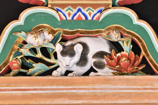 眠り猫01 の写真素材 イラスト素材 アマナイメージズ