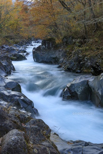 憾満ヶ淵 大谷川 の写真素材 イラスト素材 アマナイメージズ