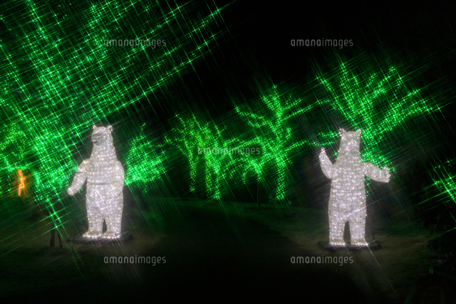 茨城県フラワーパーク イルミネーション の写真素材 イラスト素材 アマナイメージズ