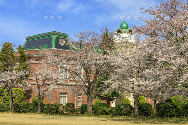茨城県 シャトーカミヤ の写真素材 イラスト素材 アマナイメージズ