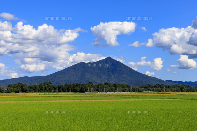 茨城県 水田と筑波山 の写真素材 イラスト素材 アマナイメージズ 茨城県 水田と筑波山 の写真素材 イラスト素材 アマナイメージズ