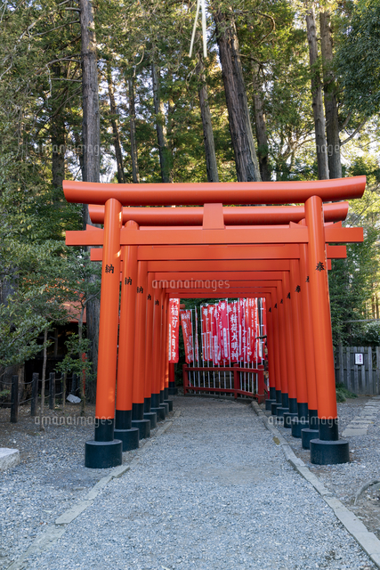 鳥居ステージ MMDステージ配布】千本鳥居風ステージ / torisutsuki さんの