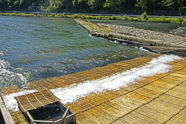 鮎ヤナ場 の写真素材 イラスト素材 アマナイメージズ