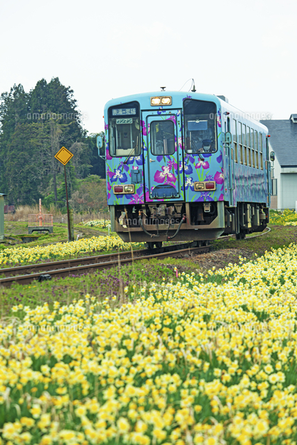 フラワー長井線 の写真素材 イラスト素材 アマナイメージズ