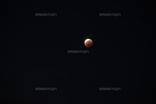 スーパームーン の写真素材 イラスト素材 アマナイメージズ