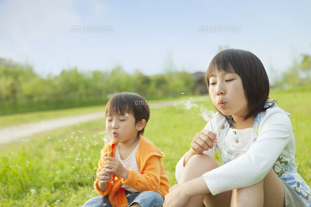 タンポポに息を吹く姉弟 の写真素材 イラスト素材 アマナイメージズ